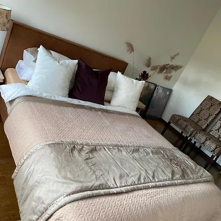 Spygliu Apartamentai Apartment Palanga